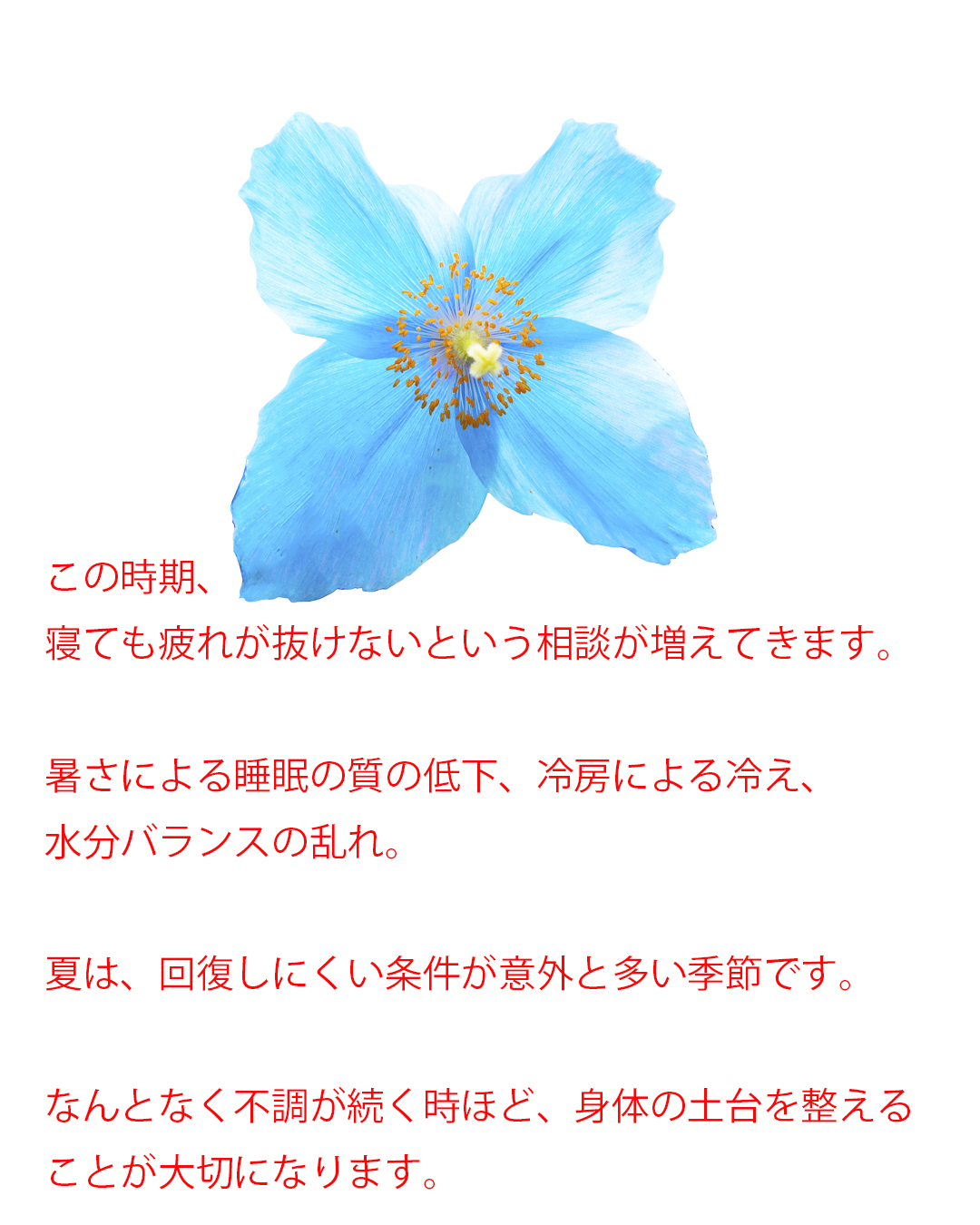 インスタ広告
